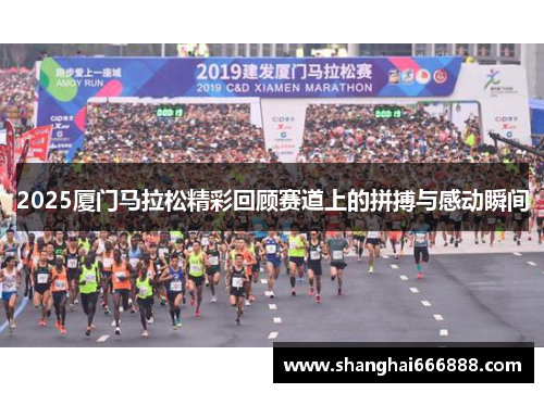 2025厦门马拉松精彩回顾赛道上的拼搏与感动瞬间